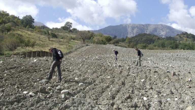 SEMAFORA – Using semantic modeling to create FAIR open data for archaeological field survey: Ontology Engineering